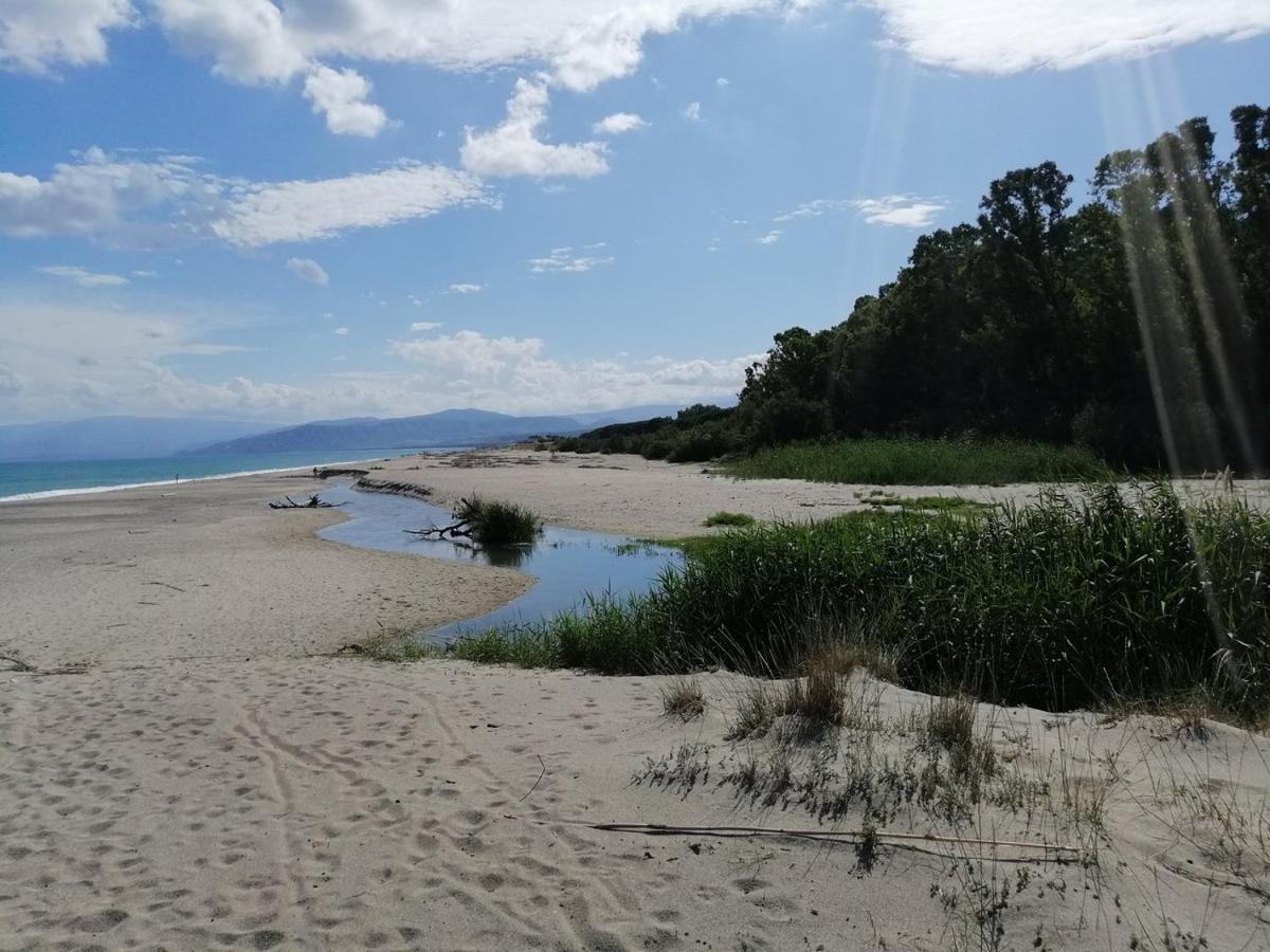 B E B Le Terrazze Sul Mare Bed and Breakfast Καταντζάρο Εξωτερικό φωτογραφία